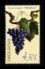№ - 676 - The «Moldova» Grape Variety