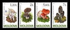 Mushrooms (IV)