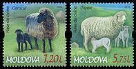 Breeds of Sheep