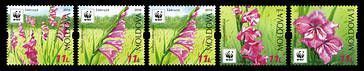 WWF - Protected Flora: Turkish Marsh Gladiolus (Gladiolus Imbricatus)