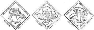 European Year of Nature Protection