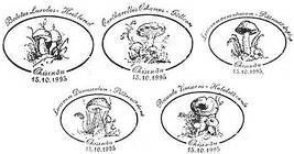Edible Mushrooms (FAKE CANCELLATIONS)
