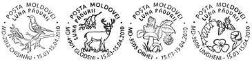 Month of Forests