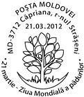 International Day of Forests