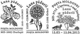 Month of Forests 2013
