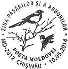Day of Birds and Trees