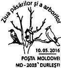 Day of Birds and Trees