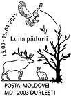 Month of Forests
