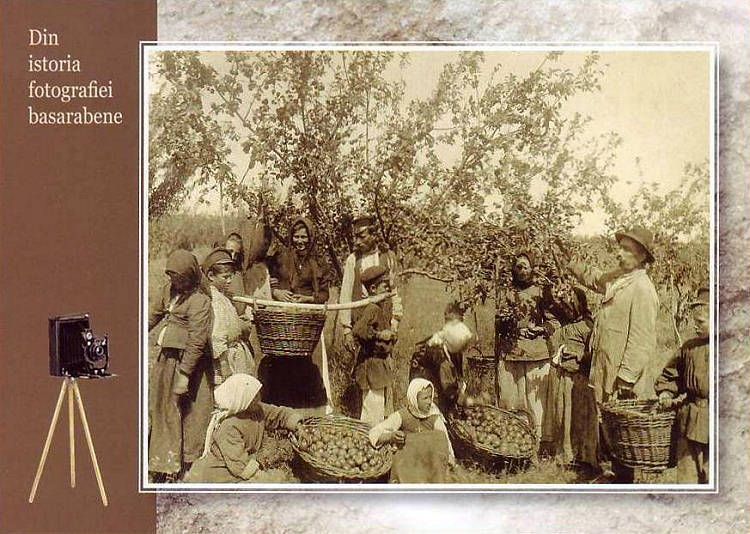 № CFP165-174