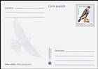 № P188 - Şoim-călător (Falco peregrinus)