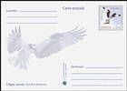 № P184 - Uligan-pescar (Pandion haliaetus)