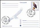 White-Tailed Eagle (Haliaeetus Albicilla)