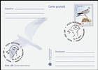 Pallid Harrier (Circus Macrourus)