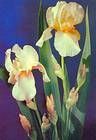 № P44 - Irises