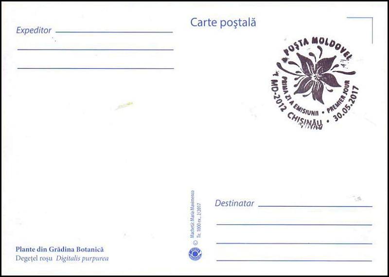 № 1005 MC1 - Наперстянка (Digitalis purpurea)