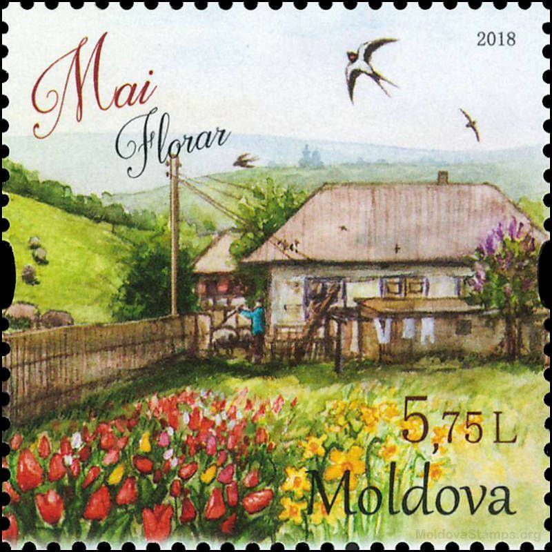 May (Florar)