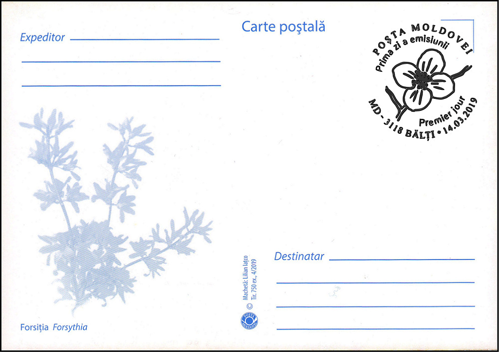 № 1090 MC1 - Форзиция (Forsythia)