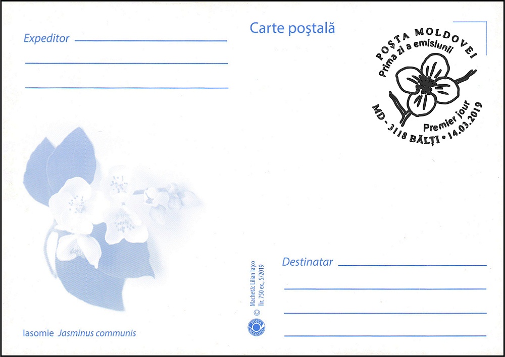 № 1091 MC1 - Жасмин (Jasminus communis)