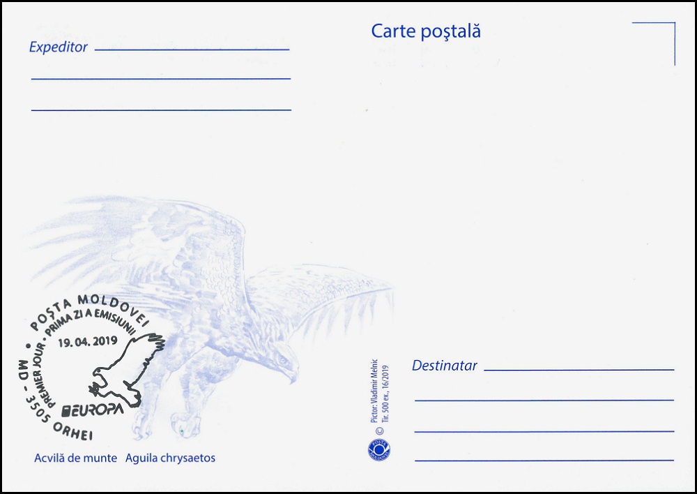 № 1097 MC1 - Golden Eagle (Aquila chrysaetos)