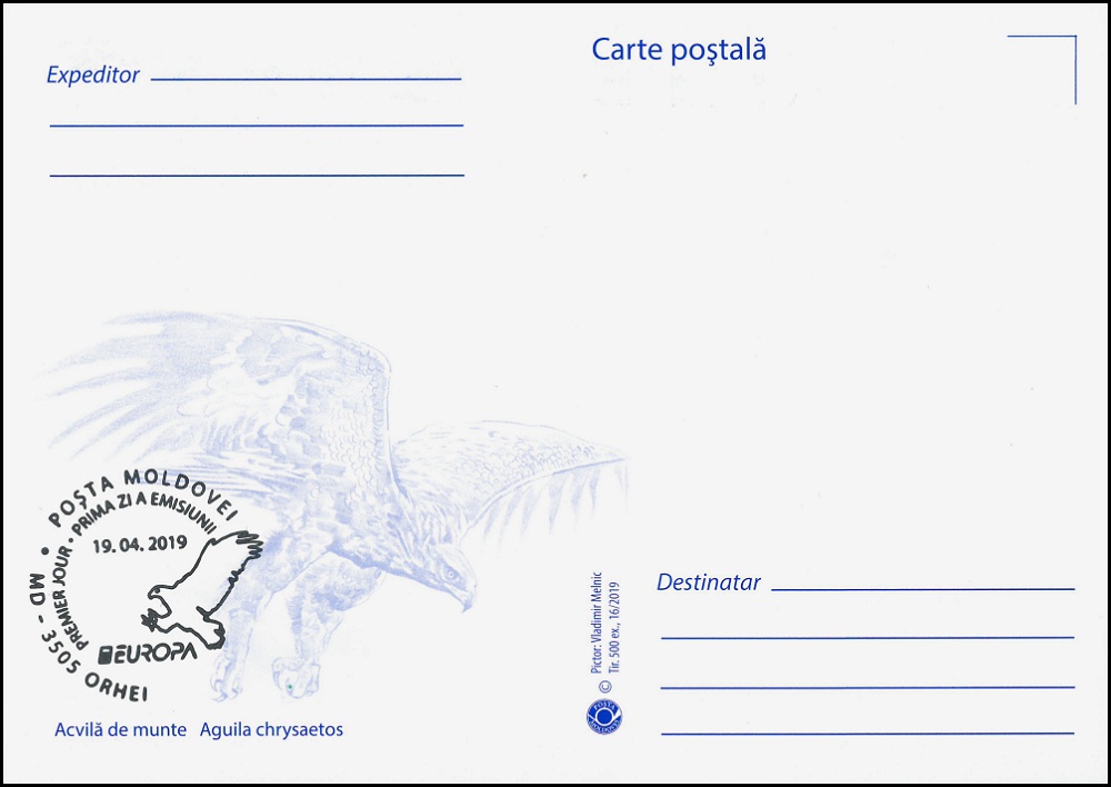 № 1097 MC1 - Беркут (Aquila chrysaetos)