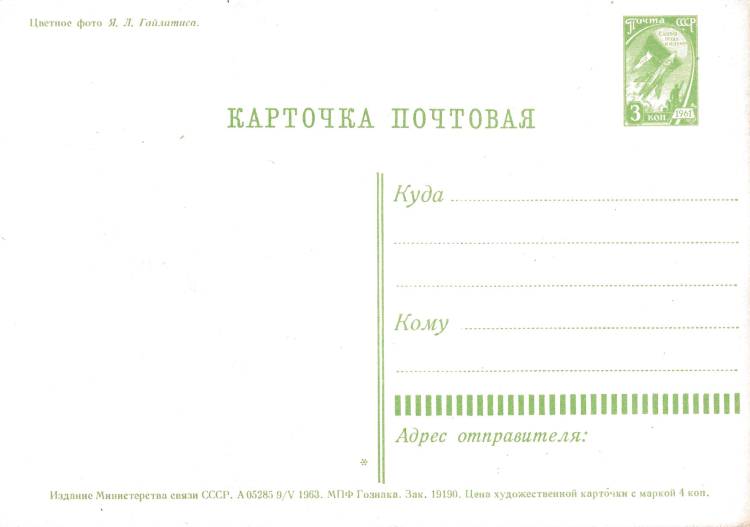 № 430 MC5 - Розы