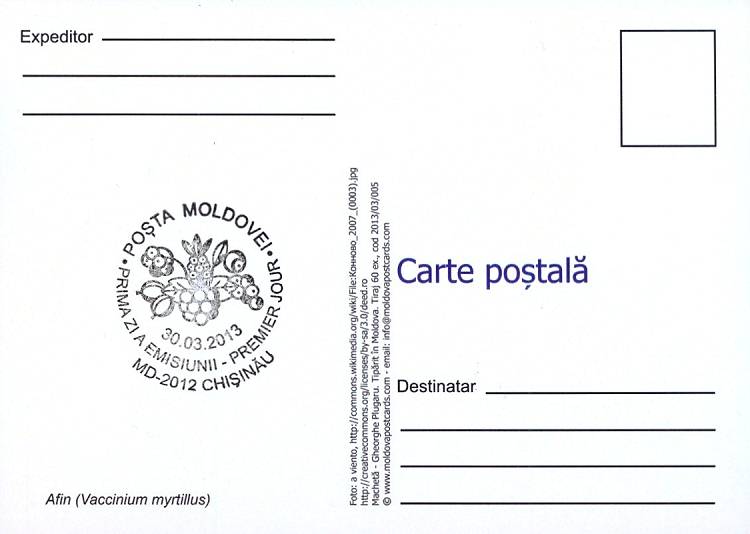 № 824 MC1 - Черника