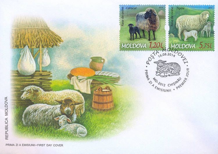 Cachet: Sheep and Cheesemaking