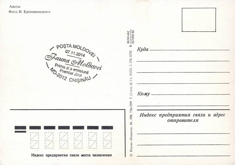 № 884 MC1 - Белые аисты