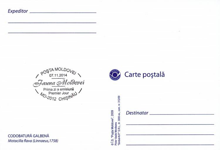 № 888 MC - Жёлтая трясогузка (Motacilla flava)