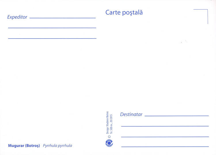 № 924 MC1 - Снегирь