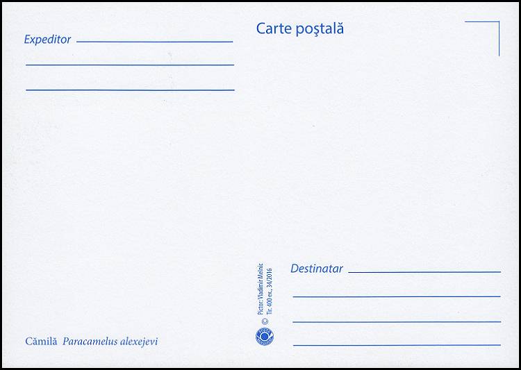 № 983 MC1 - Верблюд (Paracamelus Alexejevi)