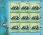 № 1011 Kb - Из Красной Книги Республики Молдова: Летучие мыши 2017