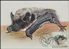№ 1012 MC1 - Parti-coloured bat (Vespertilio murinus)
