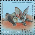 № 1014 (15.50 Lei) Grey long-eared bat (Plecotus austriacus)