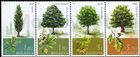 № 1033-1036 ZdH1 - Trees 2018