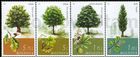 № 1033-1036 ZdH2 - Trees 2018
