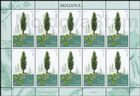 № 1033 Kb - Trees 2018