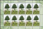 № 1034 Kb - Trees 2018