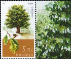 № 1036 Zf - Trees 2018