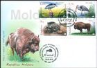 European Bison