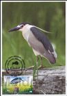 № 1037 MC1 - Fauna from the «Pădurea Domnească» (Princely Forest) Nature Reserve 2018