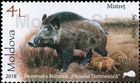 № 1039 (4.00 Lei) Wild Boar (Sus scrofa)