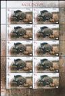 № 1039 Kb - Fauna from the «Pădurea Domnească» (Princely Forest) Nature Reserve 2018
