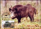 № 1039 MC1 - Fauna from the «Pădurea Domnească» (Princely Forest) Nature Reserve 2018