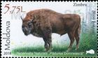 № 1040 (5.75 Lei) European Bison (Bison bonasus)