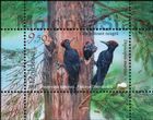№ Block 79 (1041) - Fauna from the «Pădurea Domnească» (Princely Forest) Nature Reserve 2018