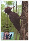 № 1041 MC1 - Fauna from the «Pădurea Domnească» (Princely Forest) Nature Reserve 2018