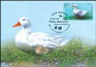 № 1057 MC1 - Domestic Poultry 2018