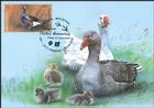 № 1058 MC1 - Domestic Poultry 2018
