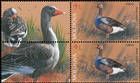 № 1058 Zf - Domestic Poultry 2018